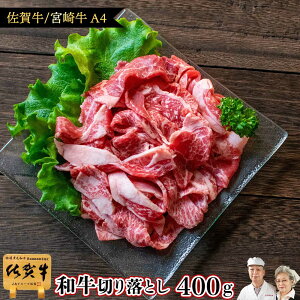 _P15{{500gɑʒ^ 킯 Y  јa  y a  ؂藎Ƃ 400g Y ꋍ {苍 A5 A4 z 1~ 5~ hV̓ Mtg Hi Ԃ O  ؗ Ԑ؂ 