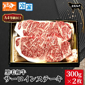 【送料無料】黒毛和牛 A4ランク以上 サーロインステーキ ギフト 300g×2枚