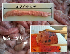 和牛 白コロホルモン（丸腸）1kg