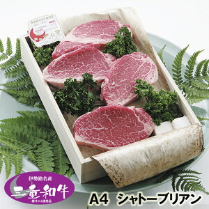 aXe[LMtg ɐHY A4 OdYјa߂ Vg[uAiqjXe[L2i300gjؔ H@