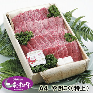a ēiĂj Mtg ɐHY A4 OdY јa߂ ij Jrē 600g ؔ H@
