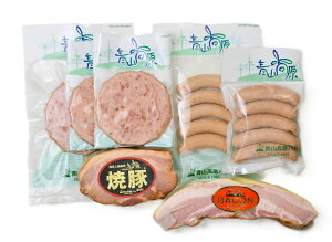 Rn Mtg Y㋉ ē؁EBi[x[R\[Z[W Zbg Îs Y 