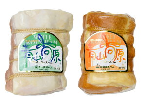 Rn Mtg Y㋉ zCg [Xn&X[N[Xn Zbg Îs Y