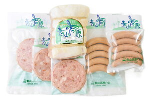 Rn Mtg Y㋉ zCg [XnEBi[\[Z[W Zbg Îs Y 