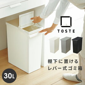 【在庫限り】ゴミ箱 おしゃれ 分別 リス TOSTE トステ レバーオープン 30L キャスター付きゴミ箱 キッチン シンプル 白 黒 ふた付き キャスター スリム リビング オフィス 棚下 机 ダストボックス 30リットル 約幅20cm ごみばこ 日本 インテリア雑貨 北欧 ホワイト ブラック