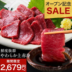 ＼ オープン記念 10％＆300円OFFの2つのクーポンで2,679円～ ／ 馬刺し 上赤身 200g ~ 1kg 送料無料 肉 お肉 馬刺し 赤身 赤身肉 肉刺し 馬 馬刺 新鮮 生食用 ユッケ ユッケ風 冷凍食品 冷凍 肉 小分け おつまみ ギフト プレゼント お取り寄せ グルメ 馬刺し お中元 霜降り