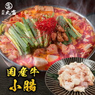 国産牛ホルモン 小腸 1kg 250g×4パックもつ モツ 臭みナシ、ぷるとろ食感！ もつ鍋 世代問わず楽しめる…