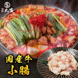 国産牛ホルモン 小腸 1kg 250g×4パックもつ モツ 臭みナシ、ぷるとろ食感！ もつ鍋 世代問わず楽しめる極上ホルモン ギフト 国産牛 お歳暮 歳暮 誕生日 プレゼント お取り寄せ 贈り物 肉匠丸富 丸富商店 送料無料 肉の日