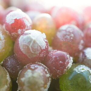 RmtBc@uQ@ƍ̎60@܂Zbg@E͔|t@ElX