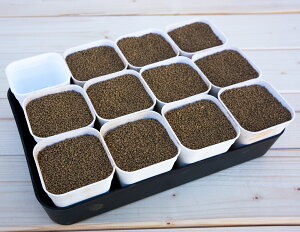 ܂g[ 75^Cv 12 |{y Ɍ엿  \yt A ϗtA Zbg AZbg y c 琬  Zbg K[fjO  A CeA c|bg A