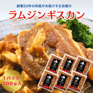 ܓs V_[ tWMXJ 300g 1܁`6 j[W[h o[xL[ ē u r 蕨 ⓀHi ^󏬕pbN t Ε  BBQ Z