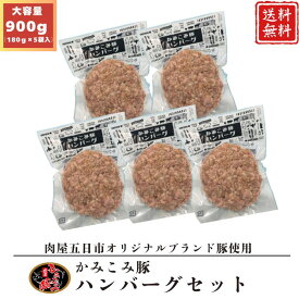 【期間限定！】20％OFF！！3,600円→2,880円 かみこみ豚ハンバーグセット 180g 5袋 豚肉 ギフト 北海道産 本格ハンバーグ 旨み グルメ 肉 ブランド 簡単調理 時短料理 お中元 お歳暮 プレゼント 小分け お買得 お弁当 惣菜 個包装 ポークハンバーグ おかず