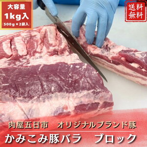 ܓs ݂ݓ؃oubN 500g×2pbN\эLؘ IĂ ē uߕ |[N`bv ɂ ~tB[Jc   ٓ Yؓ ؍ o BBQ 