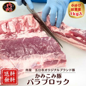 【期間限定】20％OFF！！4,750円→3,800円 かみこみ豚バラブロック 500g×2パック十勝帯広名物豚丼 生姜焼き 焼肉 炒め物 ポークチャップ 肉巻きおにぎり ミルフィーユカツ 回鍋肉 おかず お弁当 国産豚肉 韓国 バラ肉 BBQ カルビ