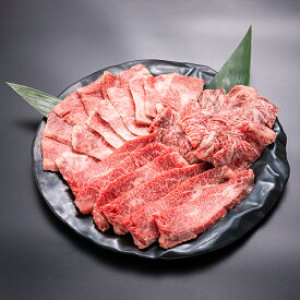 特選 カルビ 盛り合わせ 黒毛和牛 700g A4等級 A5等級 A4ランク A5ランク 和牛 お肉盛り合わせ 焼肉 国産 焼肉用 牛 肉 牛カルビ 焼肉カルビ 焼き肉用肉 焼肉肉 焼肉用肉 A5ランク牛肉 美味しい 霜降り 冷凍 外バラ バラ肉 牛カルビ 高級肉 ギフト BBQ 肉 牛肉通販 焼肉通販