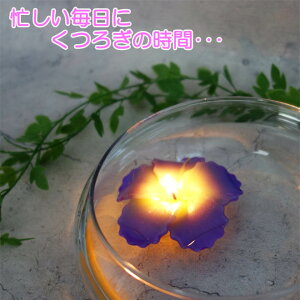 t[eBOLh nCrXJX 3Zbg C A}Lh Mtg ^CG  킢 NX}X v`Mtg G Mtg v[g Lh a p[e