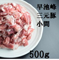 【豚肉】【豚小間切れ】【鍋用】岩手県産早池峰三元豚小間切500g