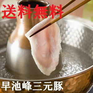 yzyyYz 茧YrO؂Ԃԗp600g