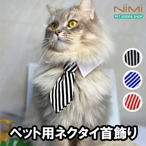 NIMI L lN^C o_i X^C o_i lR ˂  Lp ֏ ybgplN^C XJ[t ybg ANZT[ 悾ꂩ  Lp xt Lbg l