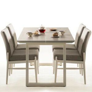 쐻쏊 DC _CjO`FA 1r ֎q CX AYANO DINING CHAIR 