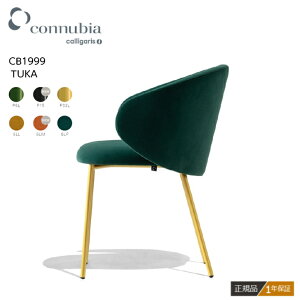 |Cg10{K㗝X JKX _CjO`FA TUKA gDJ 2rZbg CB1999 RkrA connubia  1Nۏ