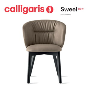 |Cg10{K㗝X JKX _CjO`FASWEEL XEB[ CS2207 ֎q CX calligaris 1Nۏ