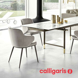 |Cg10{K㗝X JKX FOYER tHC[ CS1898 2rZbg _CjO`FA ֎q CX calligaris 1Nۏ