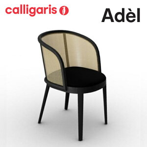 |Cg10{K㗝X JKX ADEL Af CS2202 _CjO`FA ֎q CX calligaris 1Nۏ