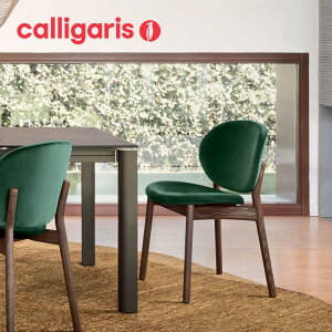 |Cg10{K㗝X JKX INES ClX CS2079 2rZbg _CjO`FA t@ubN ֎q CX calligaris @1Nۏ