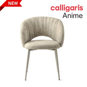 |Cg10{K̔X JKX _CjO`FA ANIME Aj ֎q CX 1r CS2210 calligaris 1Nۏ