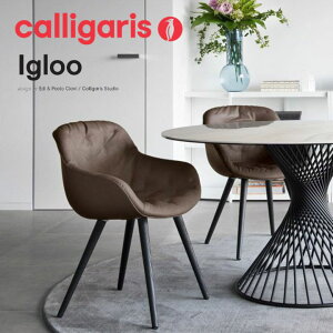 |Cg10{K㗝X JKX _CjO`FA IGLOO SOFT CO[\tg t@ubN CS/1841 calligaris 1Nۏ