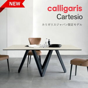 ���|�C���g10�{�����K�̔��X �J���K���X ���{����FIX���f��-�_�C�j���O�e�[�u�� CARTESIO FX�@�J���e�V�I �t�B�b�N�X �Z���~�b�N�V�� CS4092-FR180J�r���F���^��1�N�ۏ�