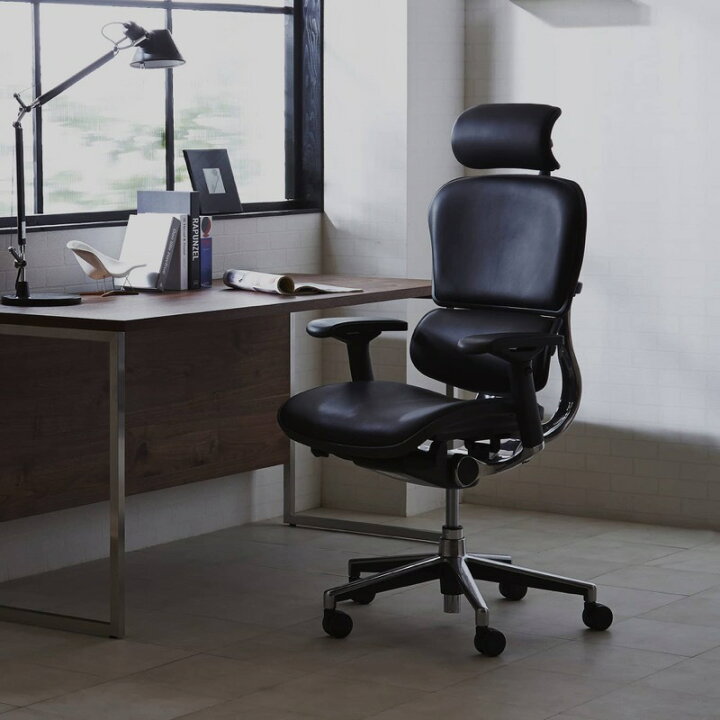 楽天市場】＜期間中P10倍＞エルゴヒューマン ベーシック ロータイプ 