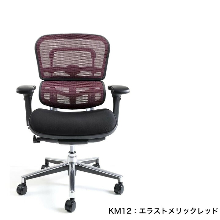 楽天市場】＜期間中P10倍＞エルゴヒューマン ベーシック ロータイプ  