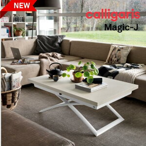 |Cg10{K㗝X RkrA _CjOe[u ~ MAGIC-J }WbNWFC ~V rOe[u CB/5041- connubia JKX 1Nۏ