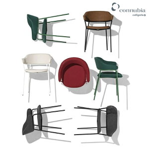 |Cg10{K㗝X RkrA _CjO`FA SIGNORINA Vj[i A[`FA ֎q CX CB2111 JKX connubia 1Nۏ