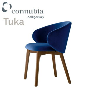 |Cg10{K㗝X JKX _CjO`FA TUKA gDJ 2rZbg CB2117 RkrA connubia  1Nۏ