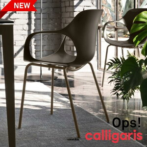 |Cg10{K㗝X RkrA `FA@OpsI X^bLO`FA 2rZbg@_CjO`FA rO`FA ςݏd JKX connubia RkrA  1Nۏ 