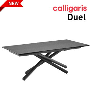 ���|�C���g10�{�����K�㗝�X �R�k�r�A �_�C�j���O�e�[�u�� �Œ莮 Duel �f���G�� �Z���~�b�N�^�E�b�h�V�� ���^���r�� ���r���O�e�[�u��CB4850-FR 200 connubia �J���K���X 1�N�ۏ�