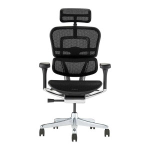 �G���S�q���[�}��2 �v�� �n�C�^�C�v �I�t�B�X�`�F�A ���[�N�`�F�A �֎q �C�X ���� EHP2-HAM Ergohuman Pro2 High Type