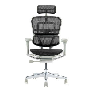 GSq[}2 v nC^Cv ItBX`FA [N`FA ֎q CX  EHP2-HAM Ergohuman Pro2 High Type