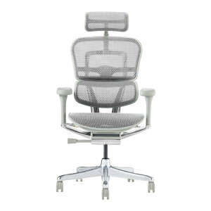 GSq[}2 v nC^Cv ItBX`FA [N`FA ֎q CX  EHP2-HAM Ergohuman Pro2 High Type