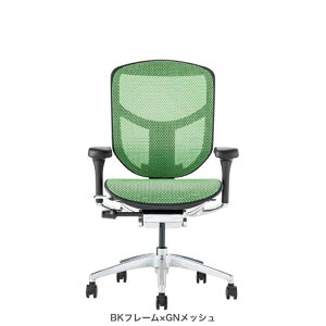 GSq[} GWC2 [^Cv ItBX`FA [N`FA ֎q CX  EJ2-LAM Ergohuman ENJOY2 Low Type