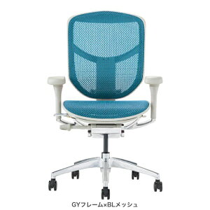 GSq[} GWC2 [^Cv ItBX`FA [N`FA ֎q CX  EJ2-LAM Ergohuman ENJOY2 Low Type