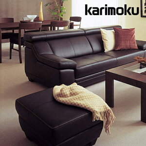 ԒP15{JN \t@ ֎q Ol| ZW53f U[ {v ZW5303 3P\t@ karimoku Y k_ k