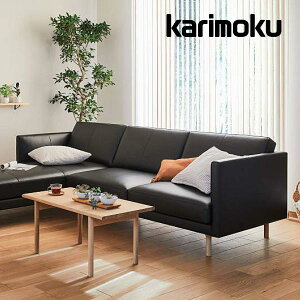 ԒP15{JN \t@ ֎q Ol| ZW90f ZW91f U[ {v ZW9013 3P v~A ZW9113 karimoku Y v~A y񂹏iz