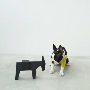 }WX Gbg ETTORE ubNX^h IuWF Xgbp[ 40NLO MAGIS MAGIS y񂹏izyz