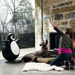 }WX sM[ PINGY yM 肱ڂ MAGIS y񂹏izyMtgΉz