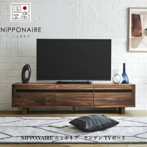 Ԓ|Cg10{jb|lA er{[h TV [{[h TENGENII eQ2 [Ƌ  NIPPONAIRE Y