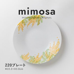 ݂̂铩 mimosa ~U v[g 22cmM M v[g v[gM v[g H@Ή dqWΉ M m  킢 傫 ` fBi[ CfBbV Z 